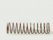 R1111013.jpg